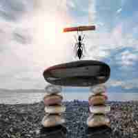 prompt工‍程﻿的‍主﻿要﻿目‍的‍